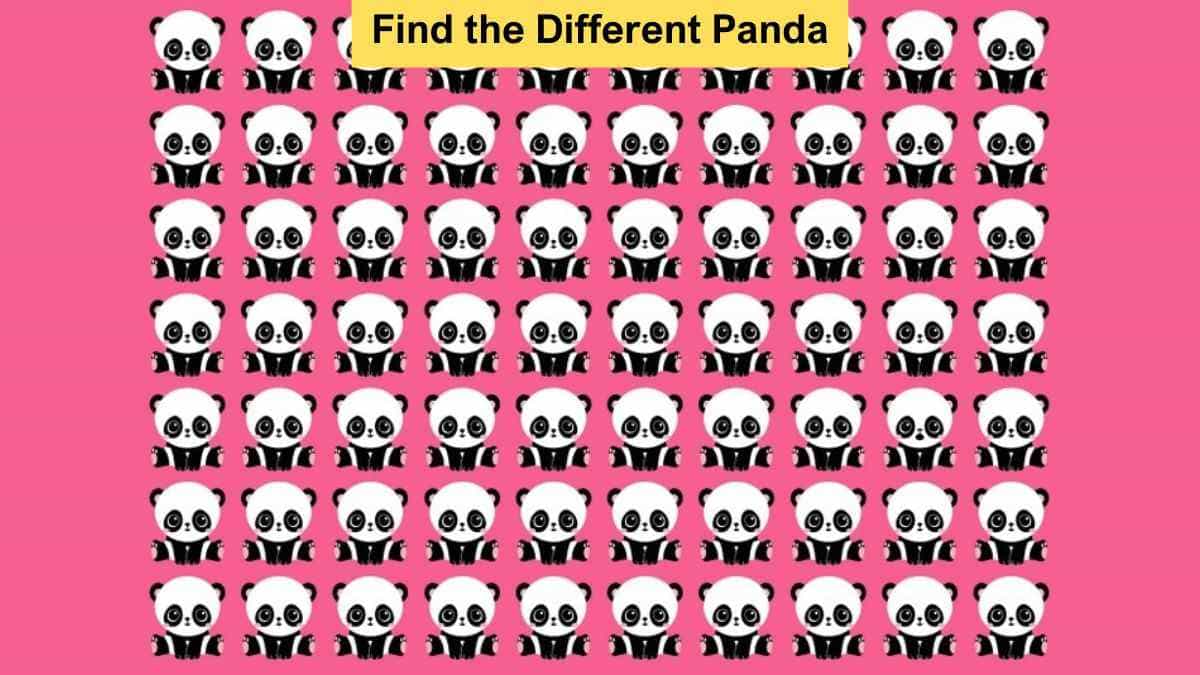 People with most extraordinary vision can spot the different panda in 6 seconds!