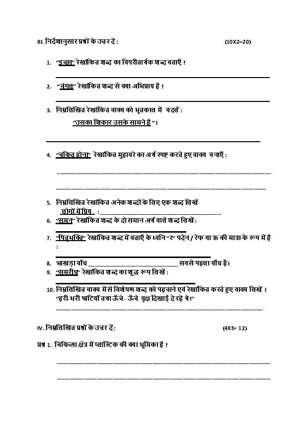 Punjab Board 5th Hindi Model Test Paper 2024: Download Class 5 Hindi ...