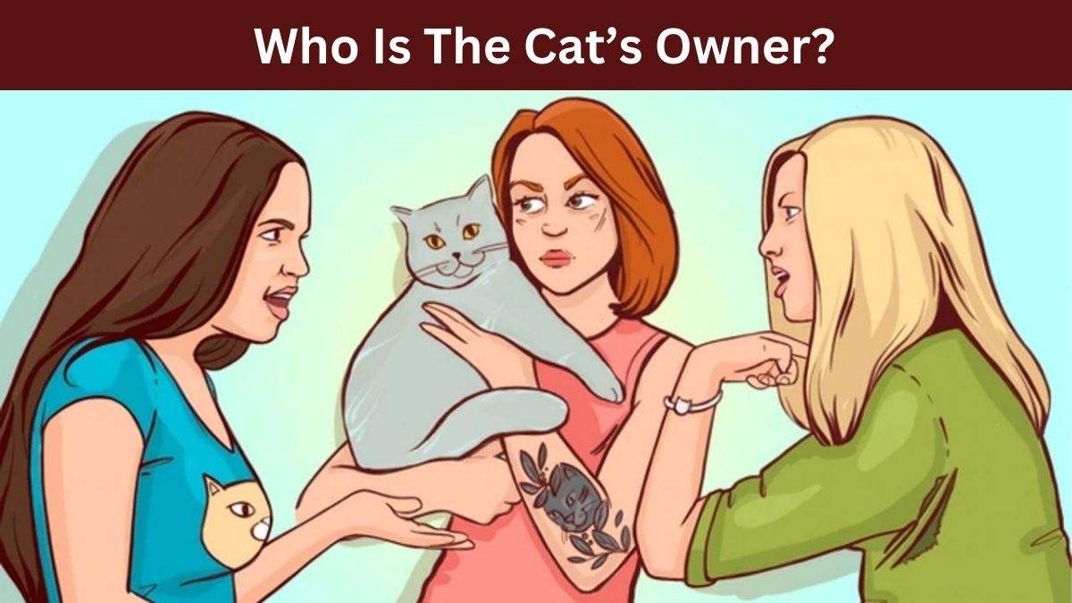 Puzzle To Test Your IQ: Only a Sharp Brain Can Spot The Cat’s Owner Among the Girls In The Picture Within 11 secs!