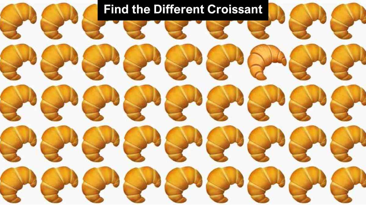 You have eagle eyes if you can spot the different croissant in 3 seconds!
