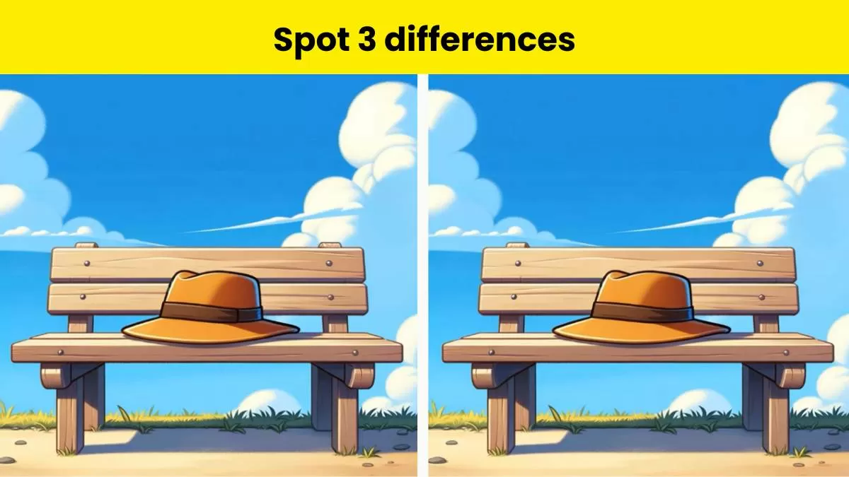 Spot 3 differences in 11 seconds