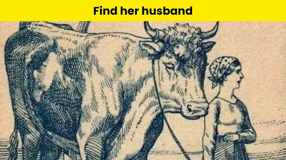 Find the farmer’s husband in 6 seconds