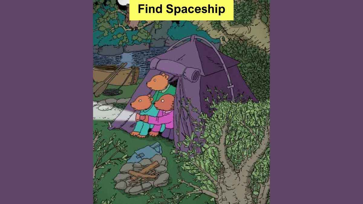 Only a puzzle champion can spot a spaceship in the camping picture in 5 seconds!