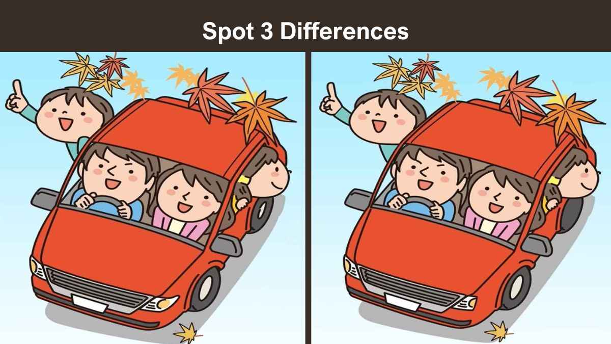 Spot 3 differences between the family road trip pictures in 12 seconds!