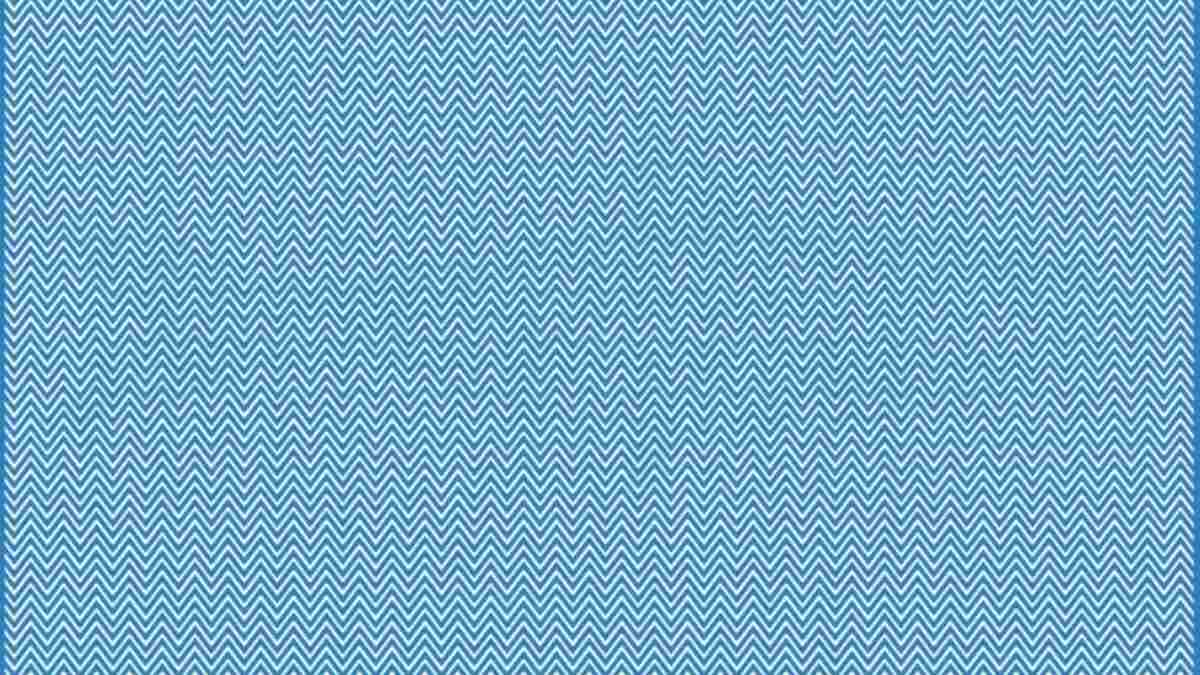 Can You Spot The Hidden Animal In This Optical Illusion Picture In 11 Seconds?