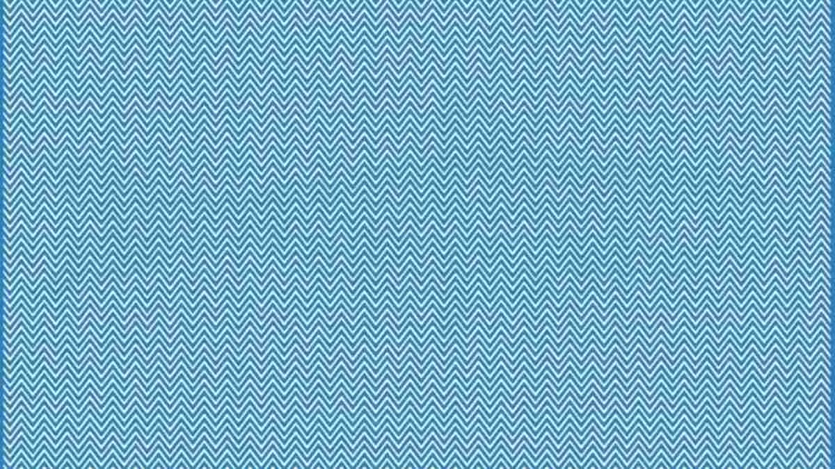 Can You Spot The Hidden Animal In This Optical Illusion Picture In 11 ...