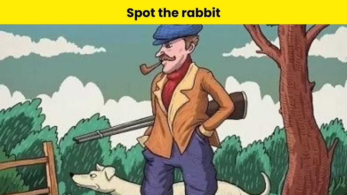 Spot the rabbit in 5 seconds