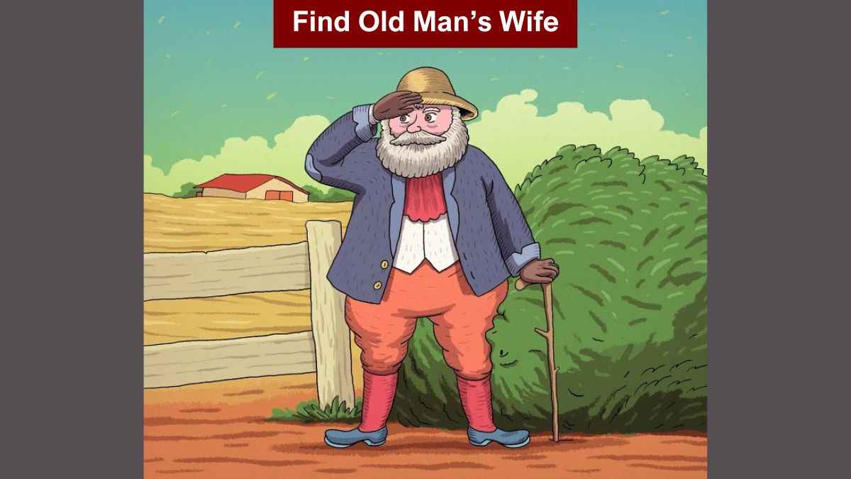 Test your visual acuity by spotting the old man’s lost wife in 6 seconds!