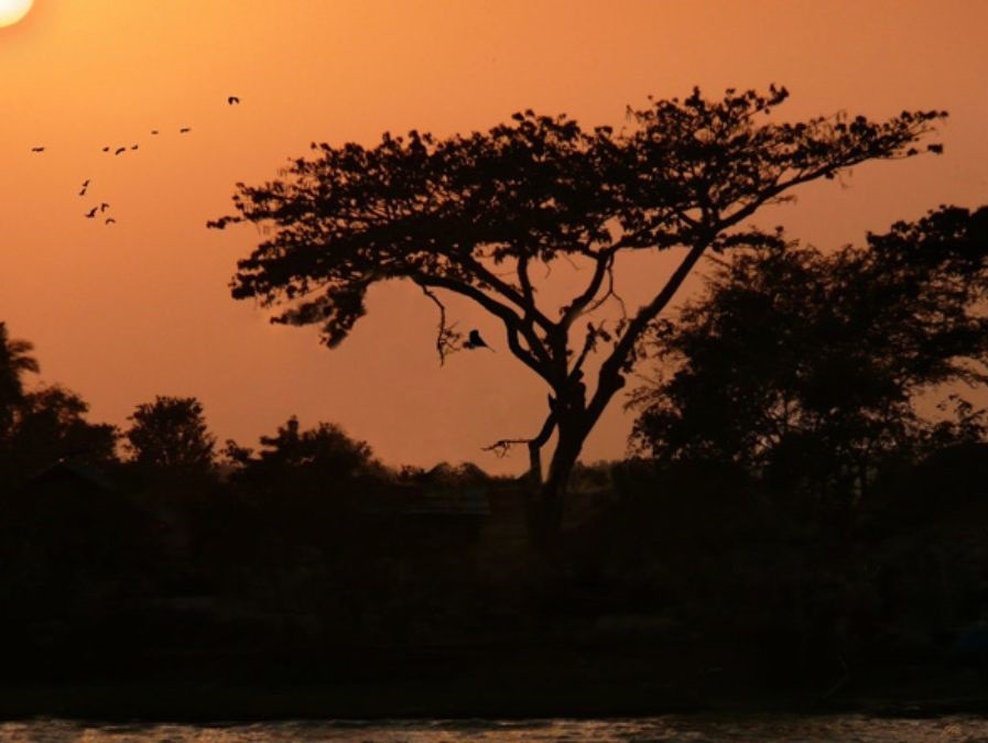 hidden optical illusions images