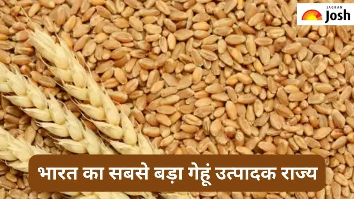 सबसे बड़ा गेहूं उत्पादक राज्य