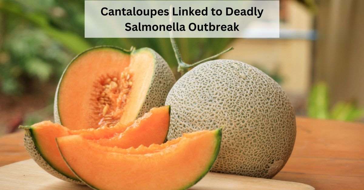 Cantaloupe Salmonella Outbreak: Two Deaths Reported in Minnesota