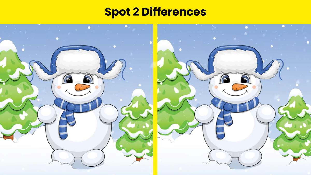 Test your skills and spot 2 differences between the snowman pictures in 5 seconds. 