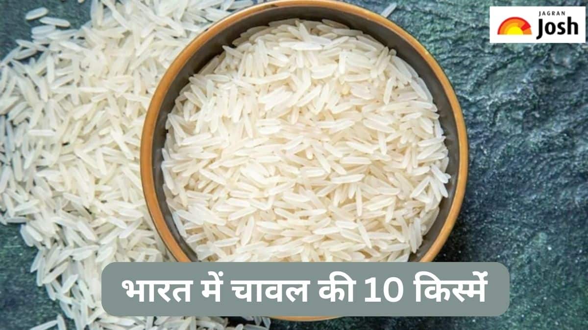 भारत में चावल की इन 10 किस्मों के बारे में कम जानते हैं लोग, देखें लिस्ट