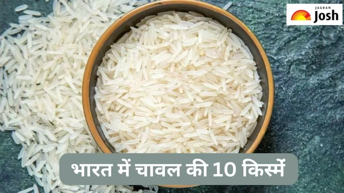 चावल की किस्में 