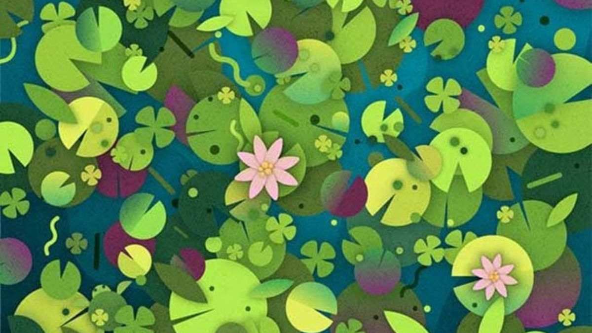 Optical Illusion IQ Test: Only 1% Can Spot the Turtle Hidden Between The Lily Pads In The Picture Within 21 secs!