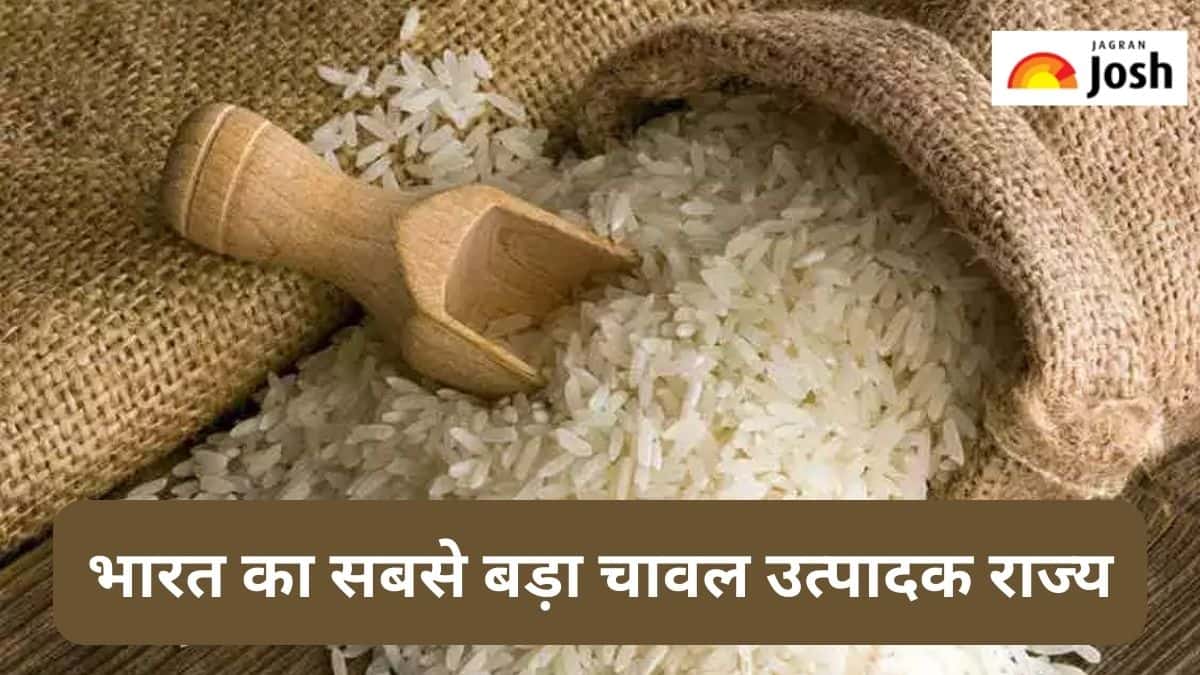 भारत का सबसे बड़ा चावल उत्पादक राज्य कौन-सा है, जानें 