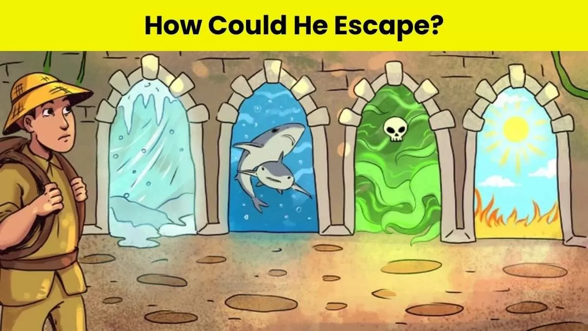 Puzzle To Test Your IQ