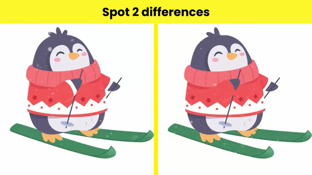 Spot 2 differences in 5 seconds