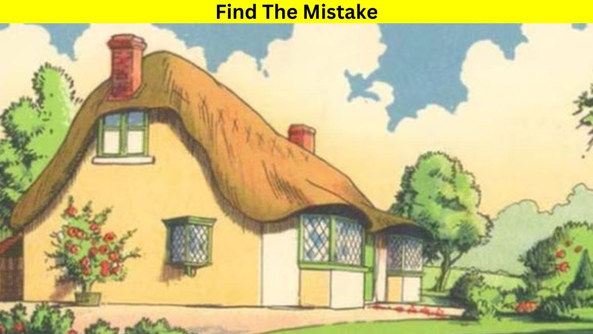 What Is Wrong In This Picture? You Are A Genius If You Can Tell Within 11 Seconds!