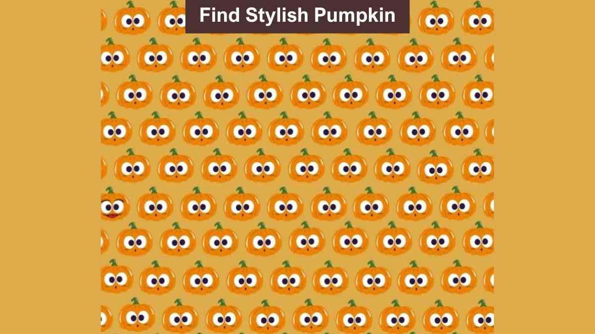You have high attention to detail if you can spot the stylish pumpkin in 5 seconds!