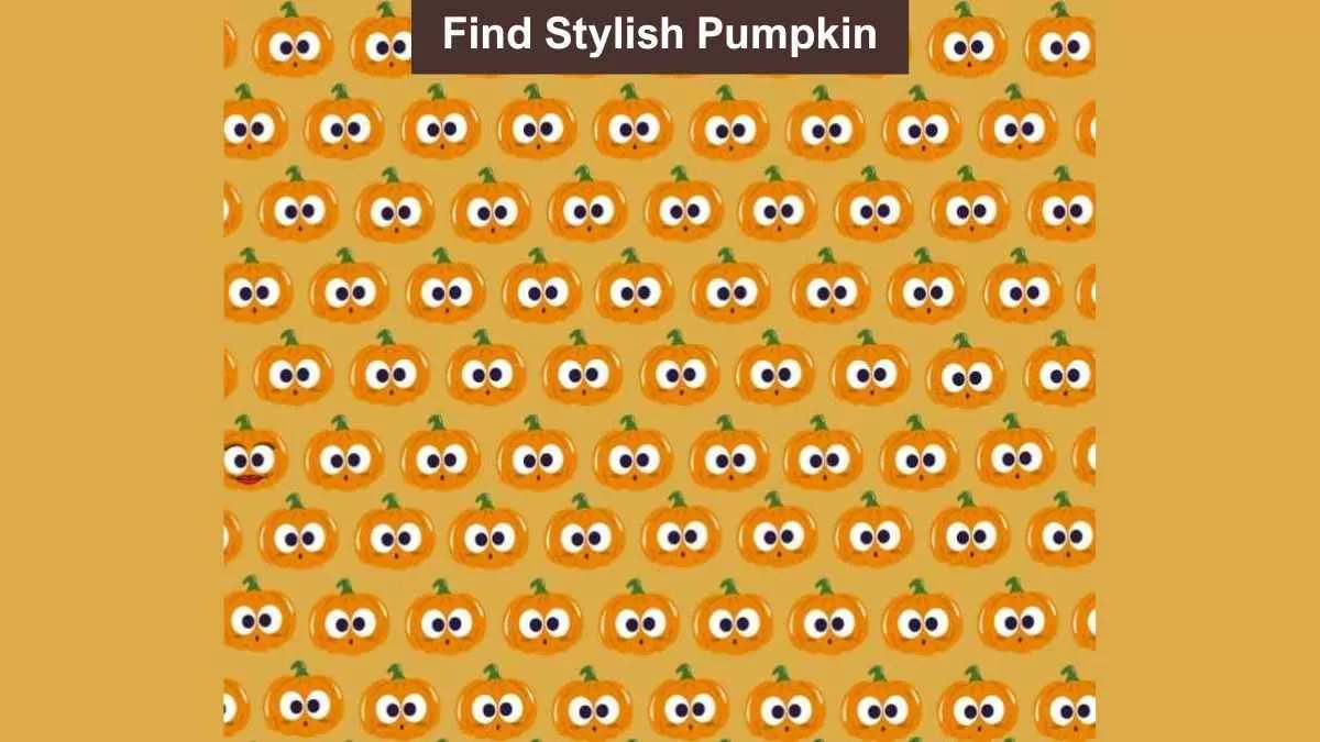Find stylish pumpkin
