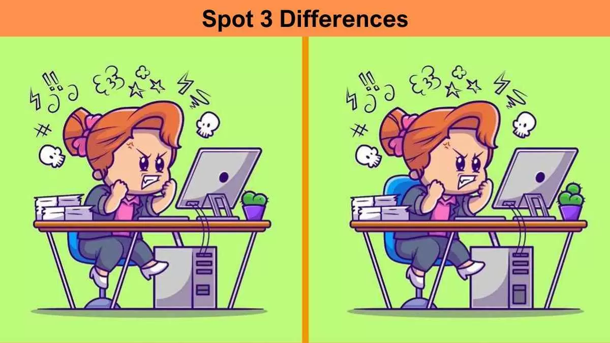 Spot the difference between girl working on computer pictures