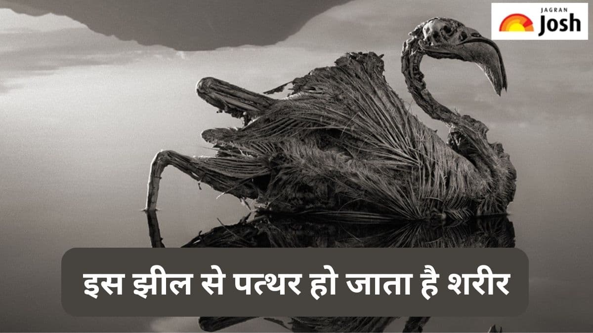 दुनिया की रहस्यमयी झील, जिसे छूने से पत्थर हो जाता है शरीर, पढ़ें