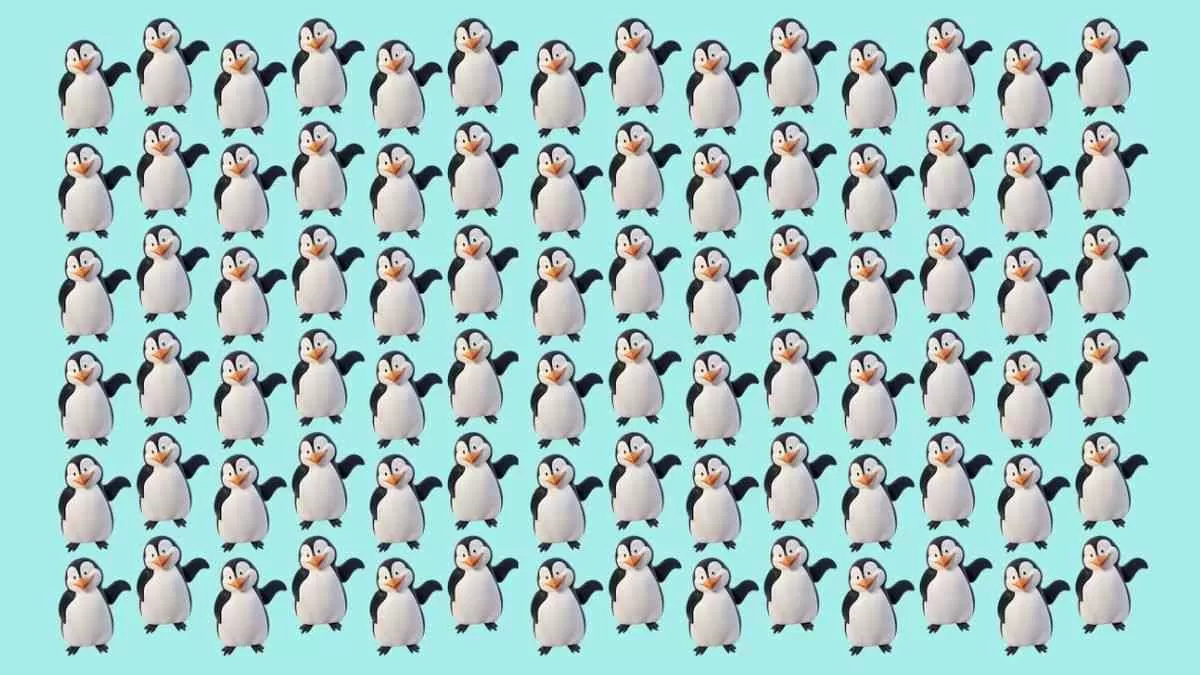 Brain Teaser to Test Your IQ