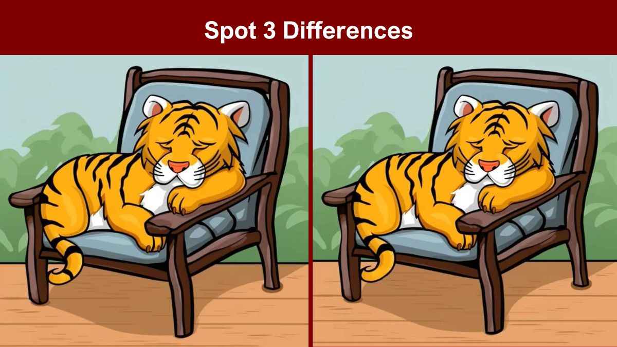 Only the sharpest minds can find 3 differences between the tiger cub sleeping on chair pictures in 9 seconds!