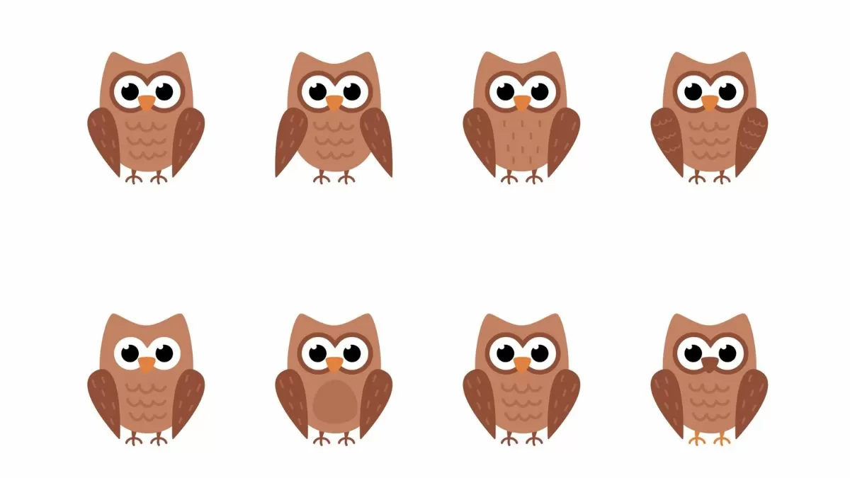 Can You Find Two Identical Owls In This Picture Puzzle Within 11 Seconds?