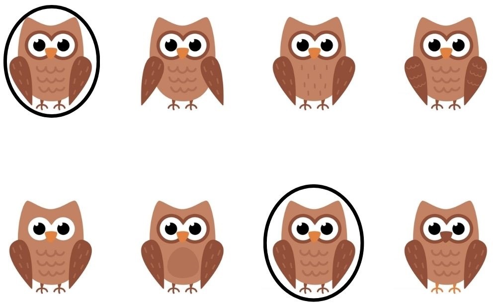 find the match picture puzzles with answers