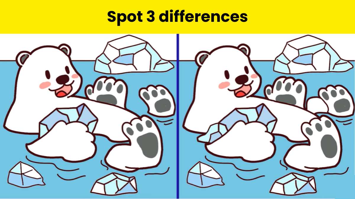 How sharp is your brain? Spot 3 differences in polar bear images in 8 seconds. 
