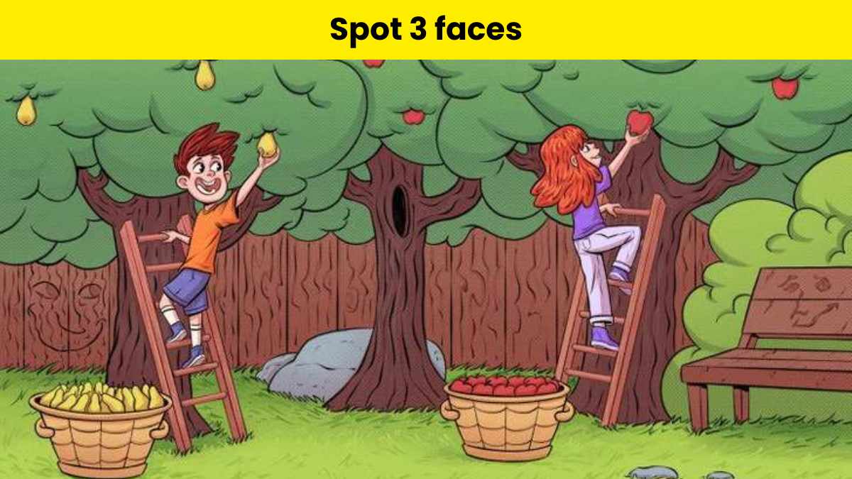 Optical Illusion Vision Test: Spot three hidden faces in the orchard in 8 seconds. 
