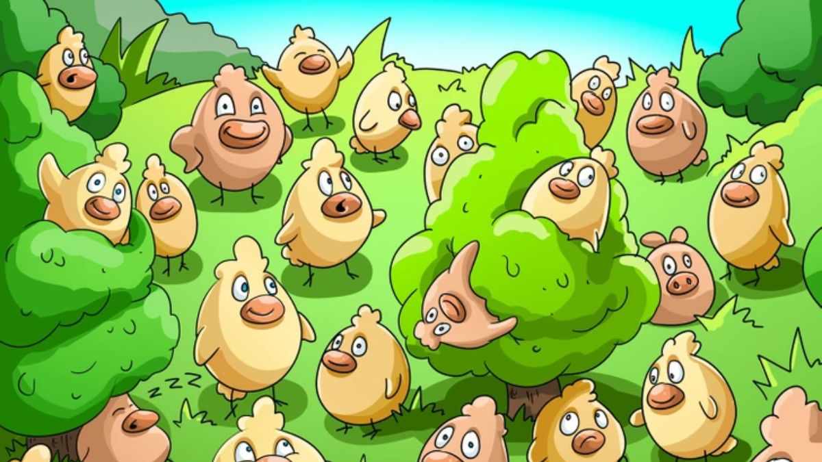 Optical Illusion for IQ Test: Only 1% Can Spot the Pig Hidden Among Chickens in the Picture within 7 secs!