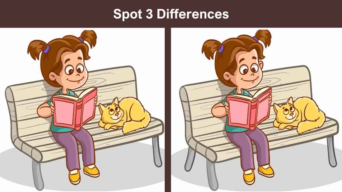 Spot 3 differences between the girl and cat pictures in 7 seconds!