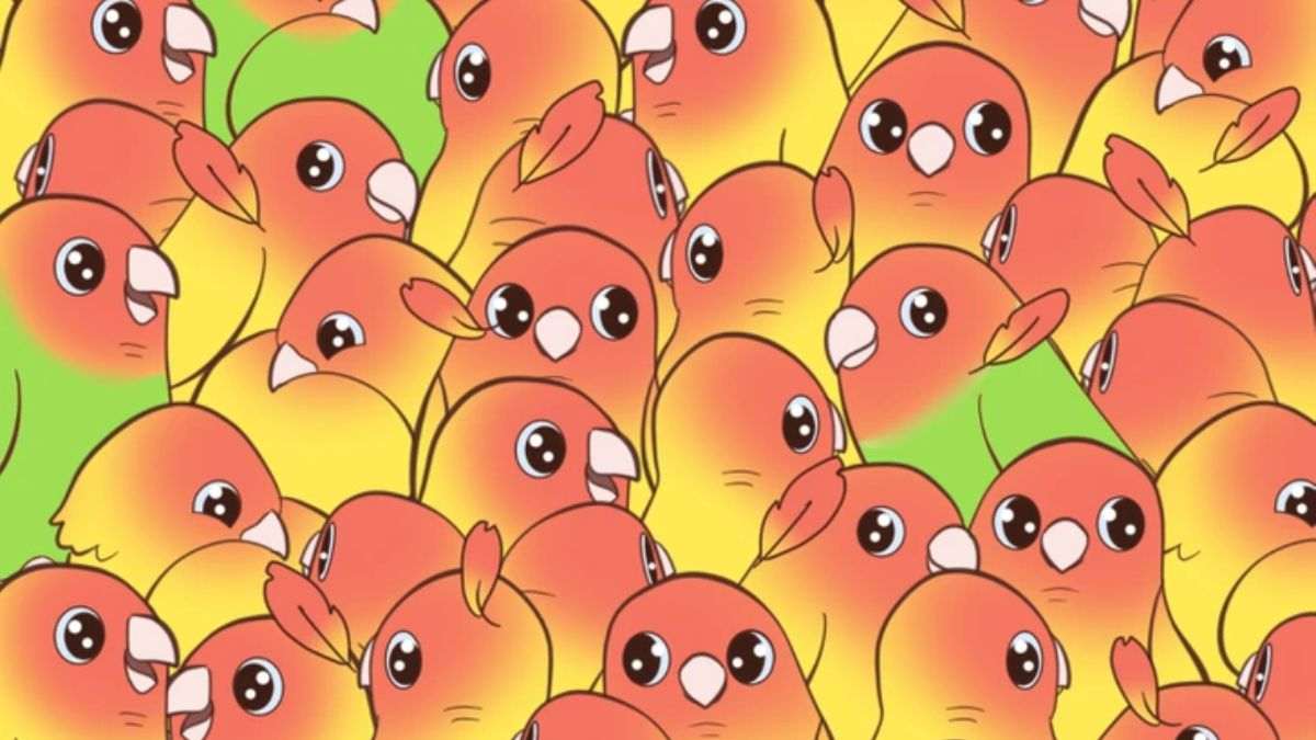 There is a mango hidden among parrots, Can you spot it within 11 seconds?