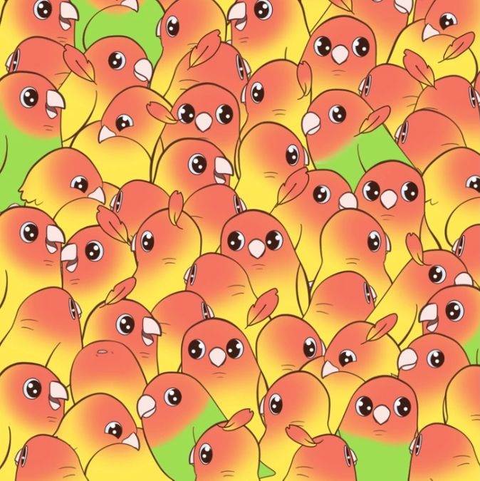 hidden objects picture puzzles