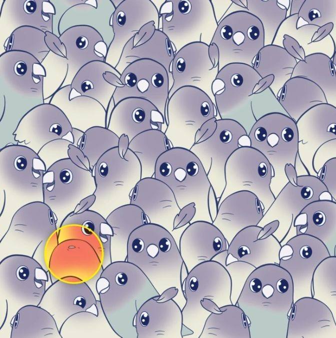 hidden objects picture puzzles with answers