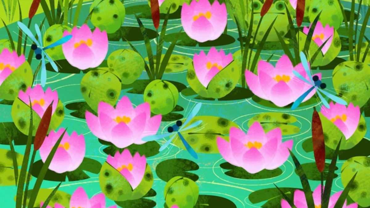 Optical Illusion to Test Your IQ: Only a Genius Can Spot the Hidden Frog Inside the Lotus Pond Picture in 11 Secs!
