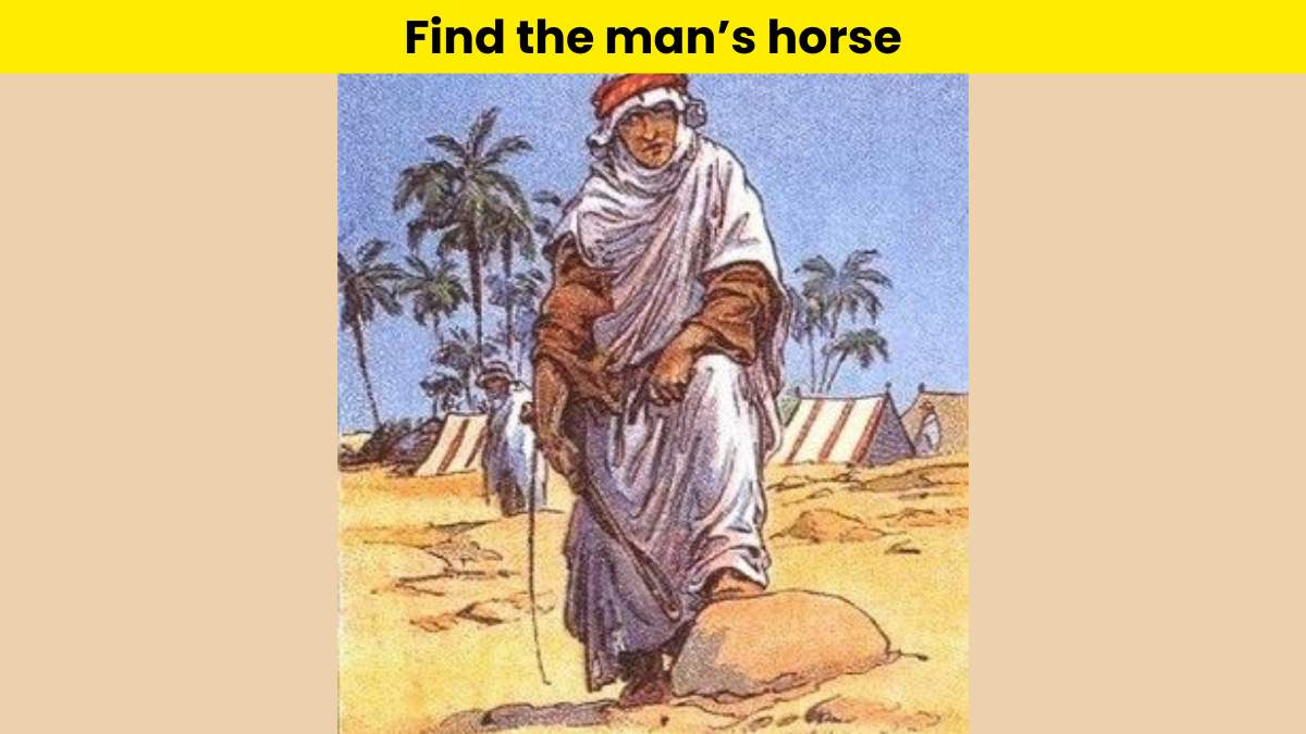 هل أنت على مستوى التحدي؟  ابحث عن حصان الرجل العربي في الصحراء في 6 ثواني.