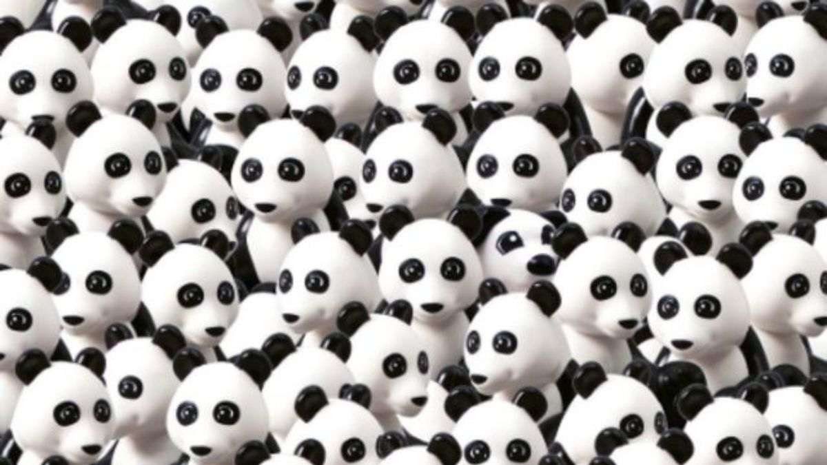 Only Highly Visually Sharp People Can Spot The Dog Among Pandas Within 6 Seconds!