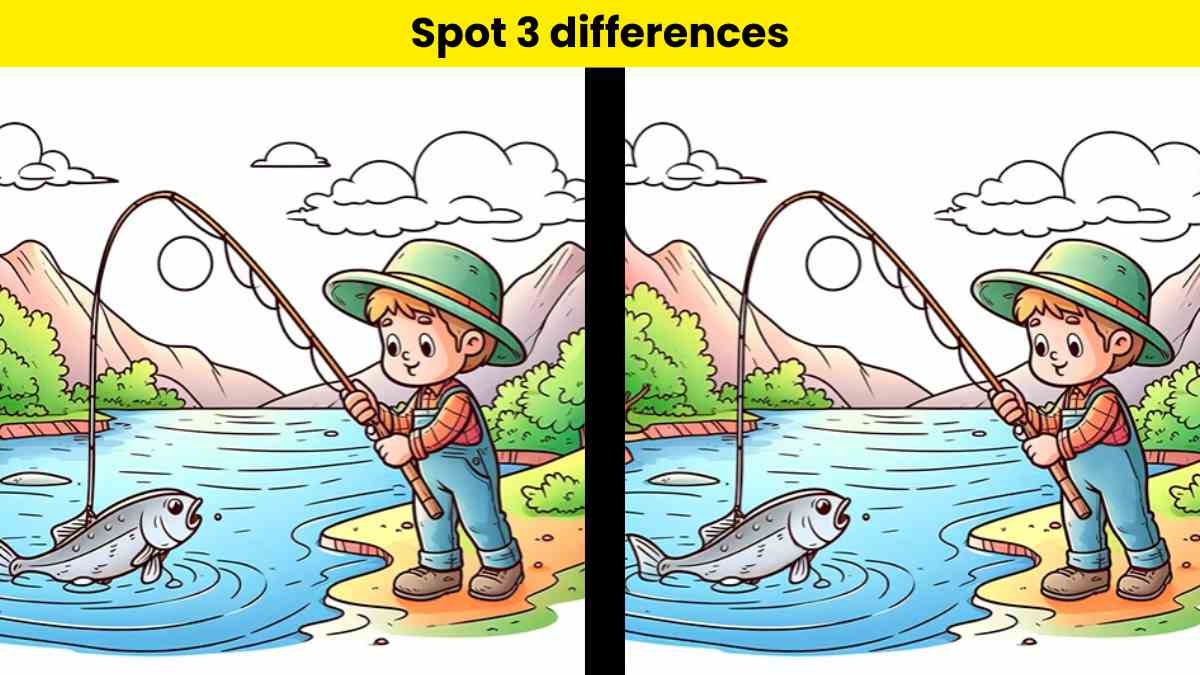 You have eagle eyes if you can spot 3 differences in fishing picture within  12 seconds.