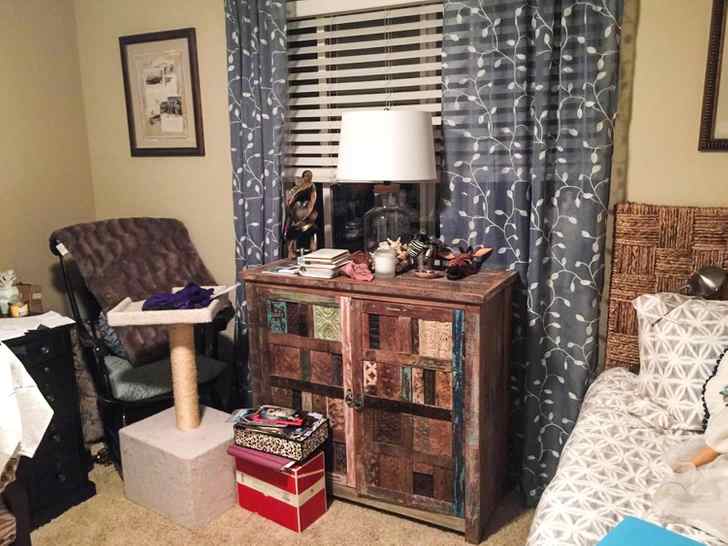 do you see a cat here?