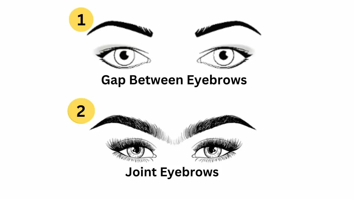 Eyebrow Shape Personality Test