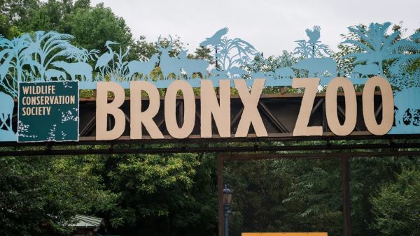 Best Zoos in the United States