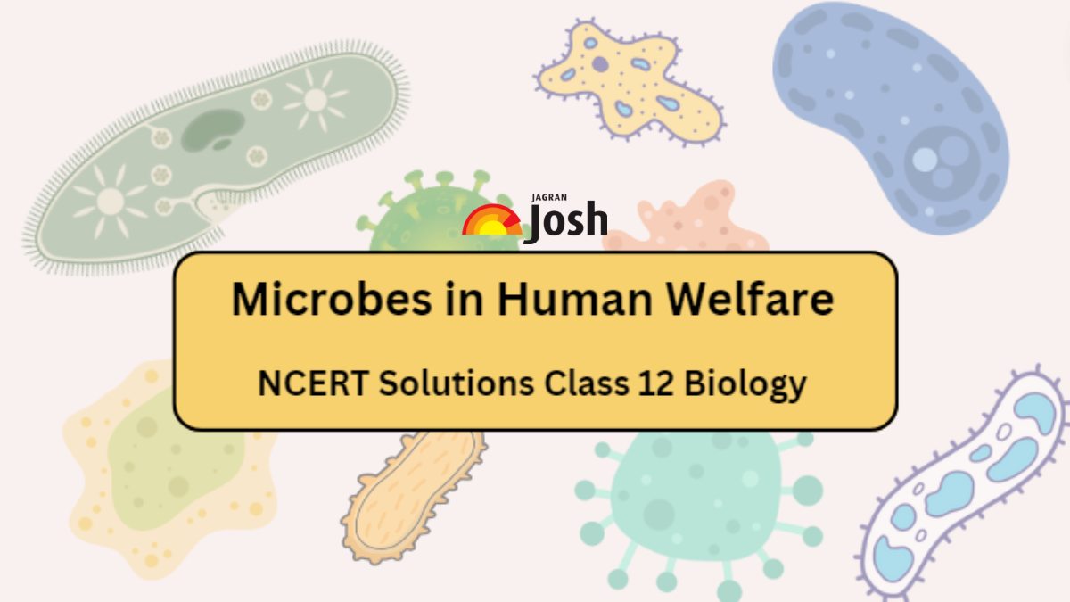 Ncert Solutions For Class Chapter Microbes In Human Welfare Download Pdf