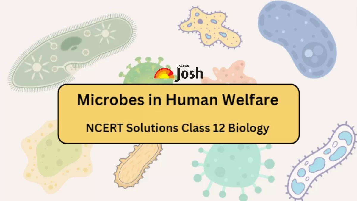 NCERT Solutions for Class 12 Biology Chapter 8 Microbes in Human Welfare
