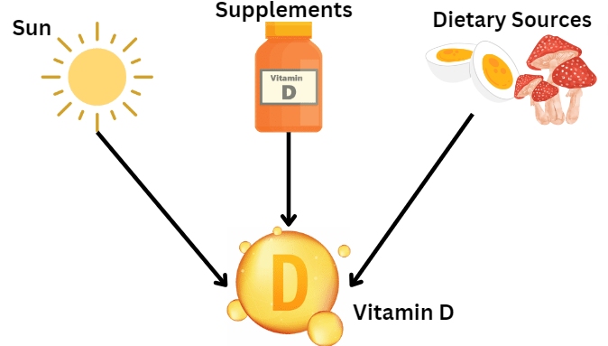 Dietary Sources for Vitamin D
