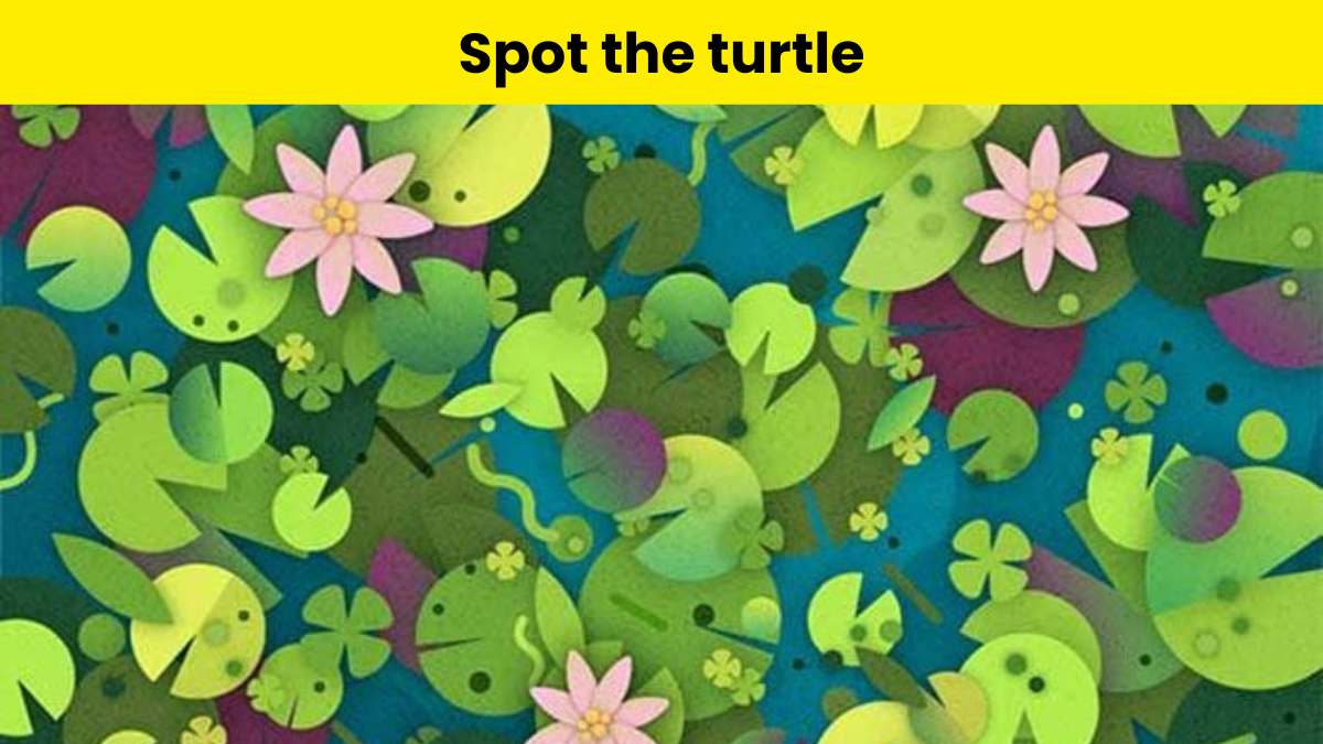 Only someone with a great vision can spot the turtle hidden in the pond within 7 seconds.