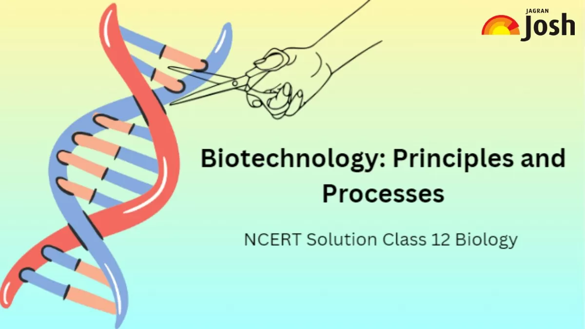 NCERT Solutions for Class 12 Biology Chapter 9 Biotechnology Principles and Processes